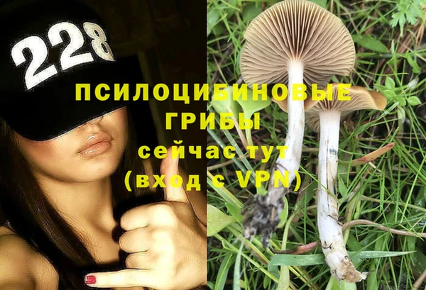 таблы Кодинск