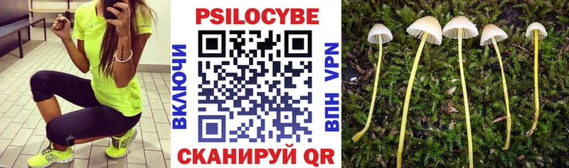 KRAKEN ССЫЛКА  Альметьевск  Галлюциногенные грибы прущие грибы  продажа наркотиков 