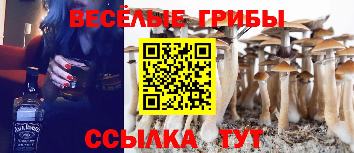 МЕФ кристаллы  ГАШ  Кокаин  Вход с VPN  Альметьевск  Канабис 
